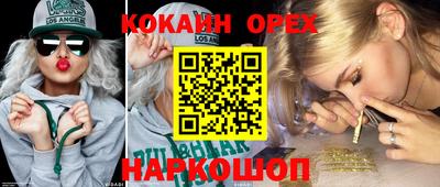 apvp Заводоуковск
