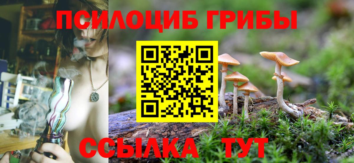 Псилоцибиновые грибы мицелий  Вход с VPN  Галлюциногенные грибы Psilocybe  Красноярск 